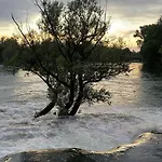 Bijela Ladja Daire Bihać